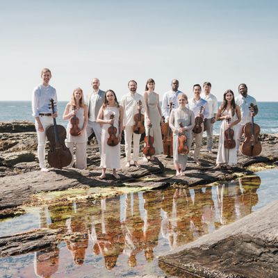 Palaver Strings Joins Ariel Artists Roster